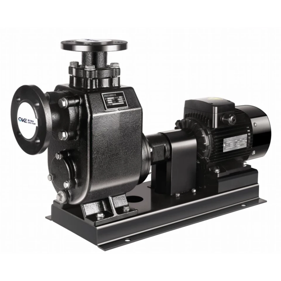 Cast Iron Sewage Pump