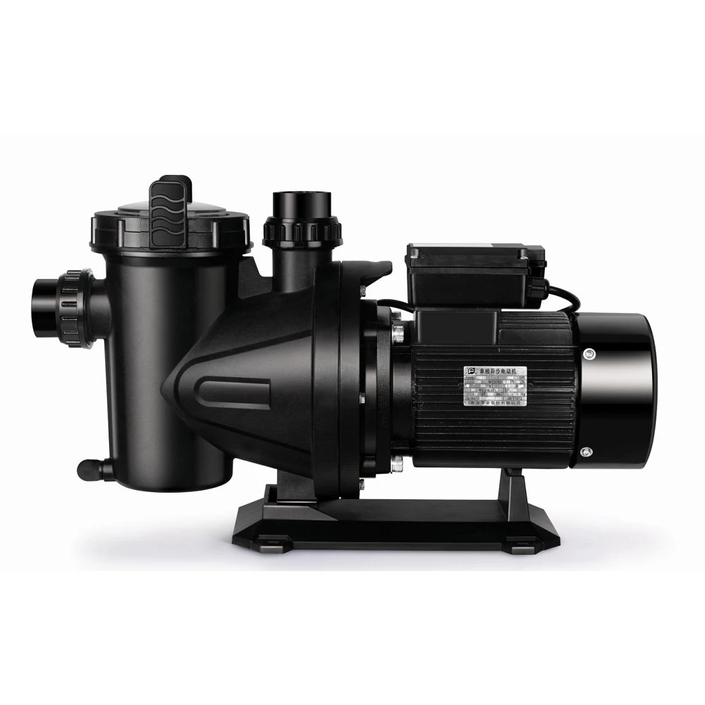 Pool Pump