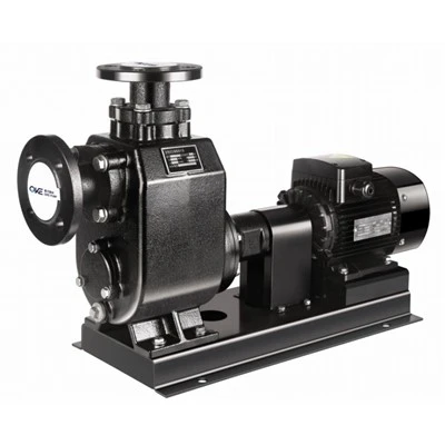 Cast Iron Sewage Pump