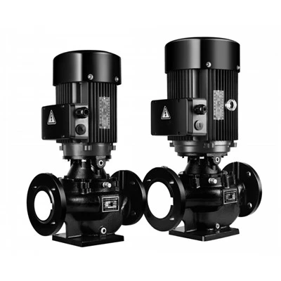 Double Seal Sewage Pump